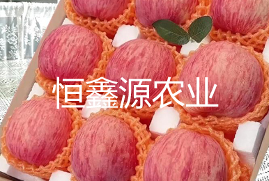 信息技术助力陕西恒鑫源农业外贸业务发展